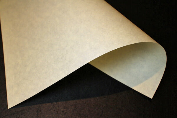 Printer Paper Yawahada Torinoko 75g A4 Beige