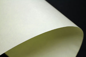 Shintorinoko Cream color 50m Roll