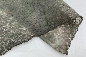 Rakusui Paper 2025 Autumn 01 Night Forest