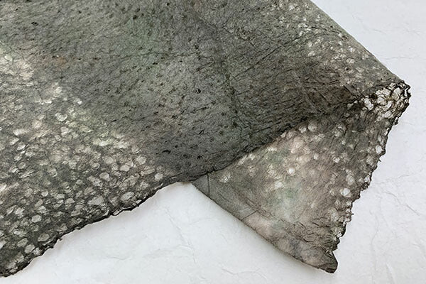 Rakusui Paper 2025 Autumn 01 Night Forest