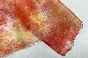 Rakusui Paper 2025 Winter 01 Nishikigoi