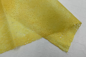 Rakusui Paper 2025 Winter 03 Dandelion