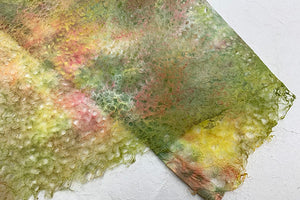 Rakusui Paper 2026 Autumn 03 Autumn leaves