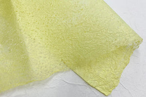Rakusui Paper 2026 Spring 02 Lemon Juice