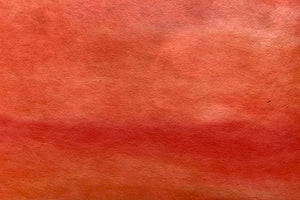 Tosa Gradation Paper Kumo 2025 Winter 01 Burning Orange