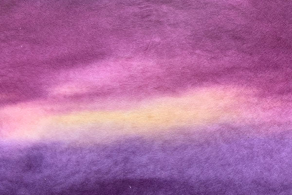 Tosa Gradation Paper Kumo 2025 Winter 06 Pansy