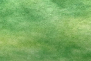 Tosa Gradation Paper Kumo 2025 Winter 07 Sprout