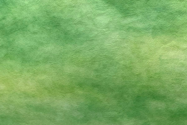 Tosa Gradation Paper Kumo 2025 Winter 07 Sprout