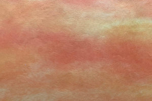 Tosa Gradation Paper Kumo 2025 Winter 08 Fresh Orange