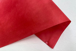 Tosa Gradation Paper Kumo 2026 Spring 02 Crimson Red