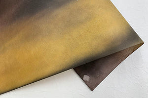 Tosa Gradation Paper Kumo 2026 Spring 04 UFO is Coming!