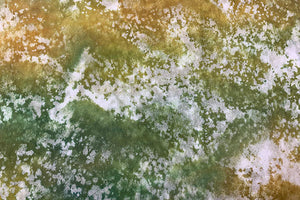 Tengu Paper Mugen 2025 Winter 02 Bushy path