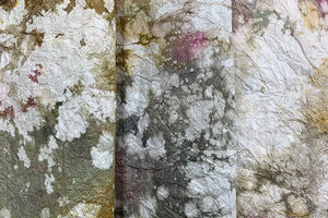 Tosa Mugen Wrinkled Paper 2026 Summer 02 Soil