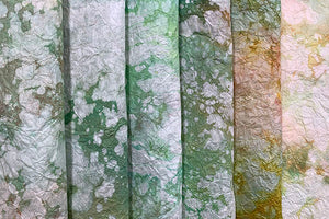 Tosa Mugen Wrinkled Paper 2026 Summer 05 Green