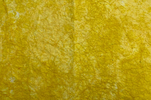 Ogawa Kodai-zome 2025 Spring 02 Lemon