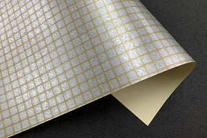 Metallic Paper 2025 Autumn 04 Silver color square on Gold background