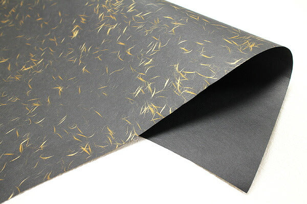 Tairei Paper Gold x Black #403