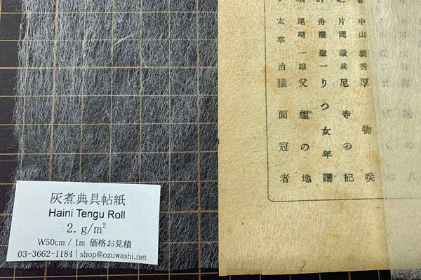 Tengujo Tengujo Paper Natural Shade 2g 10m – OZU WASHI