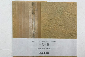 Variety Pack of Toned Papers 10pcs set Beige