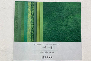 Variety Pack of Toned Papers 10pcs set Green