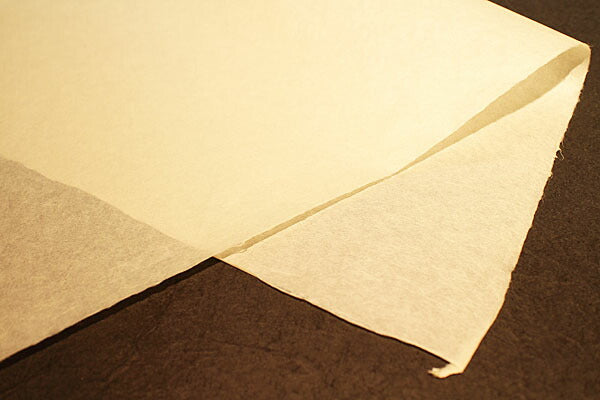 Tosa Gampi Paper Thin