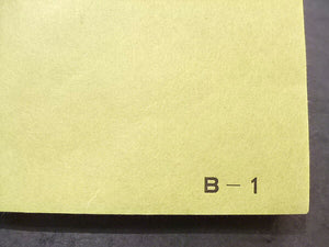 Ecchu Colored Paper B-1 Matcha green