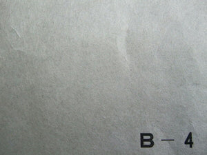 Ecchu Colored Paper B-4 Grey