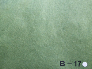Ecchu Colored Paper B-17 Green