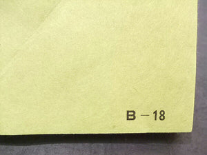 Ecchu Colored Paper B-18 Matcha green