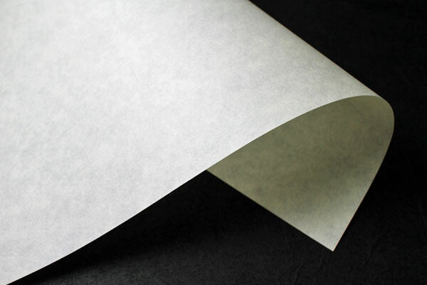 Printer Paper Yawahada Torinoko 48g 20m Roll Beige